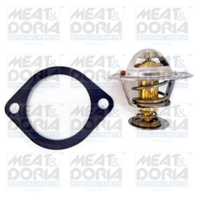Thermostat, coolant